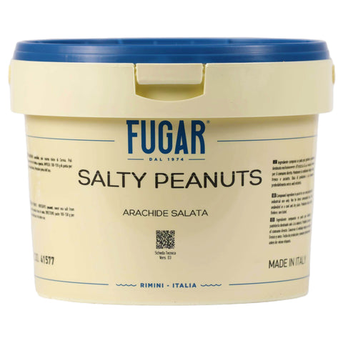 Fugar Salty Peanut Gelato Paste