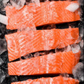 Frozen Salmon Collection